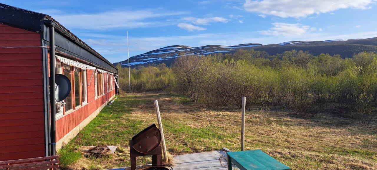 Austertanakrystallen By Pure Lifestyle Arctic Exterior foto